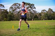 TIM_9468