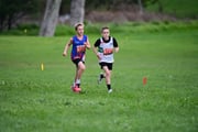 TIM_3643 TIM_3643