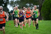 TIM_0544 TIM_0544