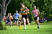 TIM_6684