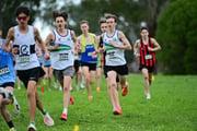 TIM_0417 TIM_0417