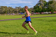 TIM_1157