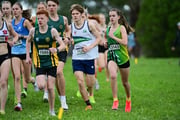 TIM_0441 TIM_0441