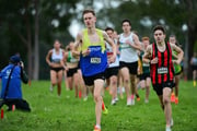 TIM_0426 TIM_0426