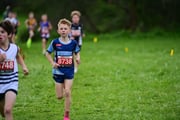 TIM_3267 TIM_3267