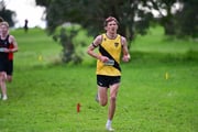 TIM_3909 TIM_3909