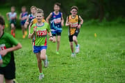 TIM_3337 TIM_3337