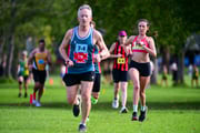 TIM_0117