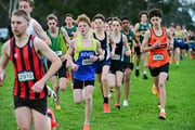 TIM_1838 TIM_1838