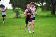 TIM_3917 TIM_3917