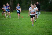 TIM_3116