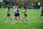 TIM_2553 TIM_2553