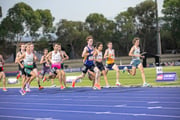 20260314-5DIV9736 20260314-5DIV9736