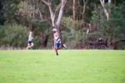 1_TIM_7910