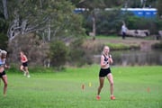 TIM_1649 TIM_1649