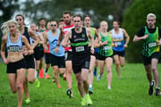 TIM_0495 TIM_0495