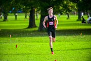 TIM_9146 TIM_9146