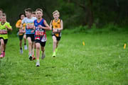 TIM_3282 TIM_3282