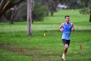 TIM_0264