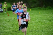 TIM_3327 TIM_3327