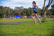 TIM_0838