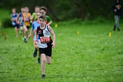 TIM_3321 TIM_3321