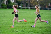 TIM_2546 TIM_2546