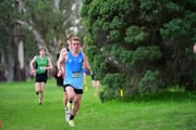 TIM_0629 TIM_0629