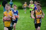 TIM_3353 TIM_3353
