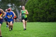 TIM_0573 TIM_0573