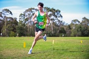 TIM_9386 TIM_9386