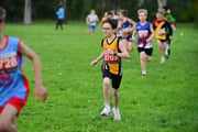 TIM_3195