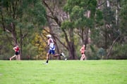 TIM_7927