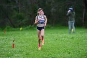TIM_2615 TIM_2615