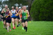 TIM_0548 TIM_0548