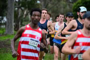 TIM_7992 TIM_7992