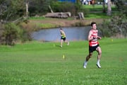 TIM_4419
