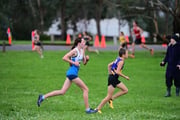TIM_2075