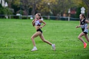 TIM_2559 TIM_2559