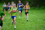 TIM_3338 TIM_3338