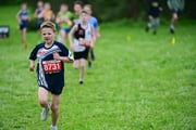 TIM_3319 TIM_3319