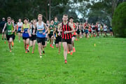 TIM_1824 TIM_1824