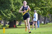 TIM_2931