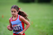 TIM_3048 TIM_3048