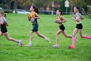 TIM_2564 TIM_2564
