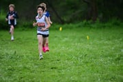 TIM_3260 TIM_3260