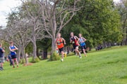 TIM_3053