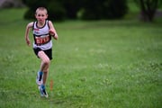 TIM_3409