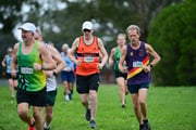 TIM_0567 TIM_0567