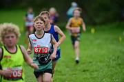 TIM_3367 TIM_3367